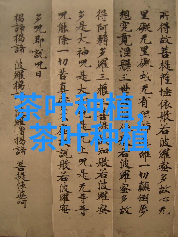 海棠花的花语和寓意是什么