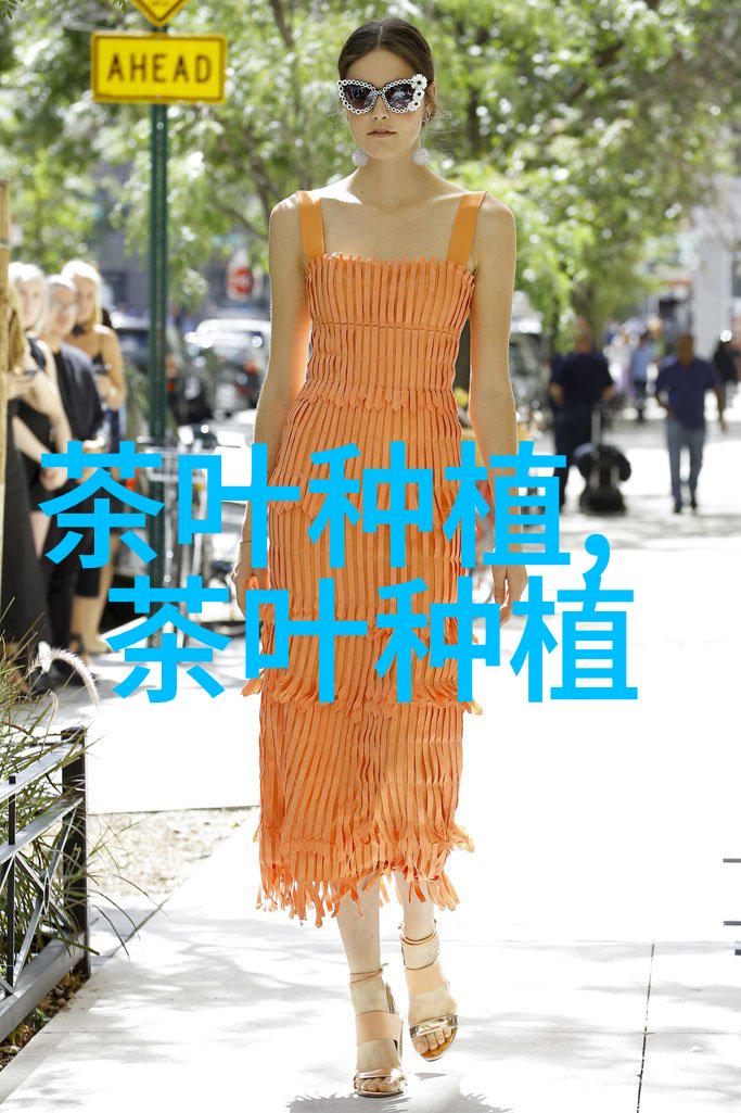 苗木产业的崛起探讨现代苗木行业的重要性与发展潜力