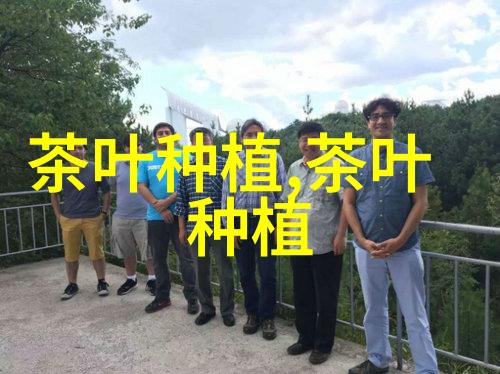 花卉苗木经济作物的定义与影响解析