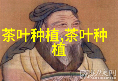 种花基地的商业潜力如何实现盈利的秘密