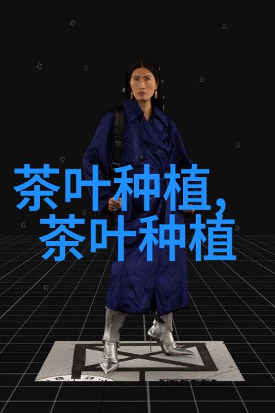 2022年有哪些热门证书可以考呢