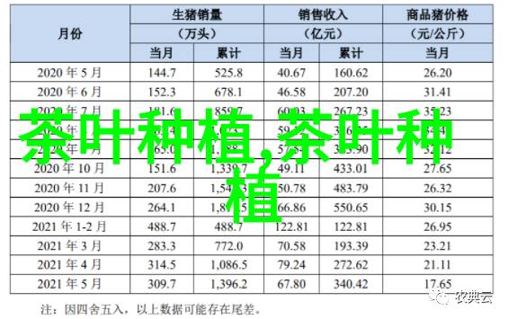 广州多肉植物养护指南从新手到专家的全方位攻略