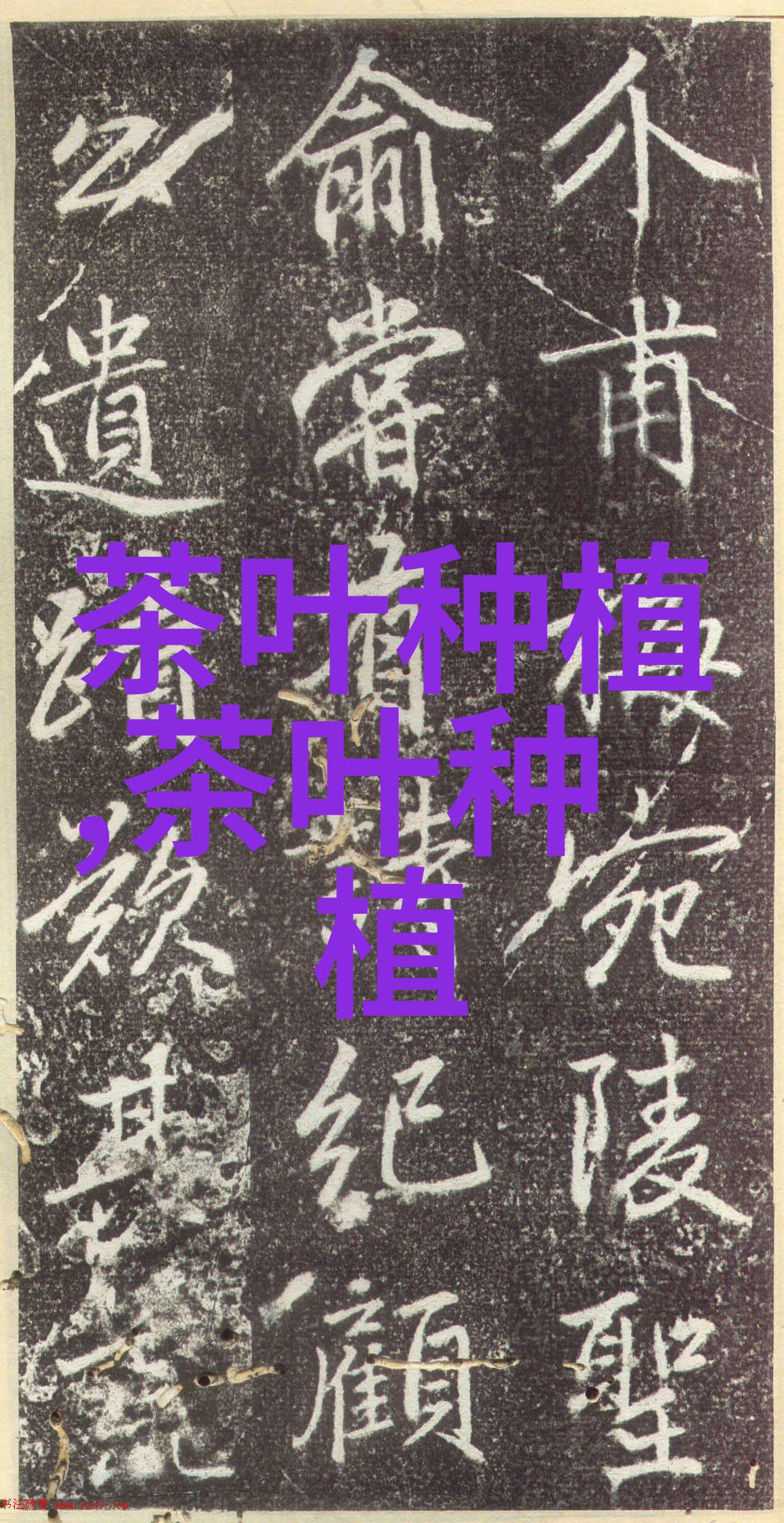 无性系早生良种茶苗繁育技术