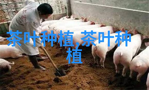花卉苗木行业的创业与创新实践开启绿意盎然的商业未来
