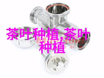 未来5年苗木市场分析 如何撰写市场分析报告