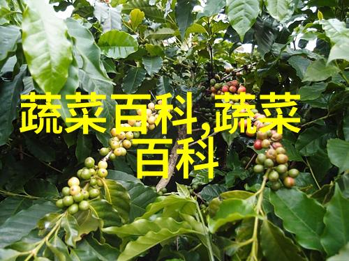 洪兰菠菜