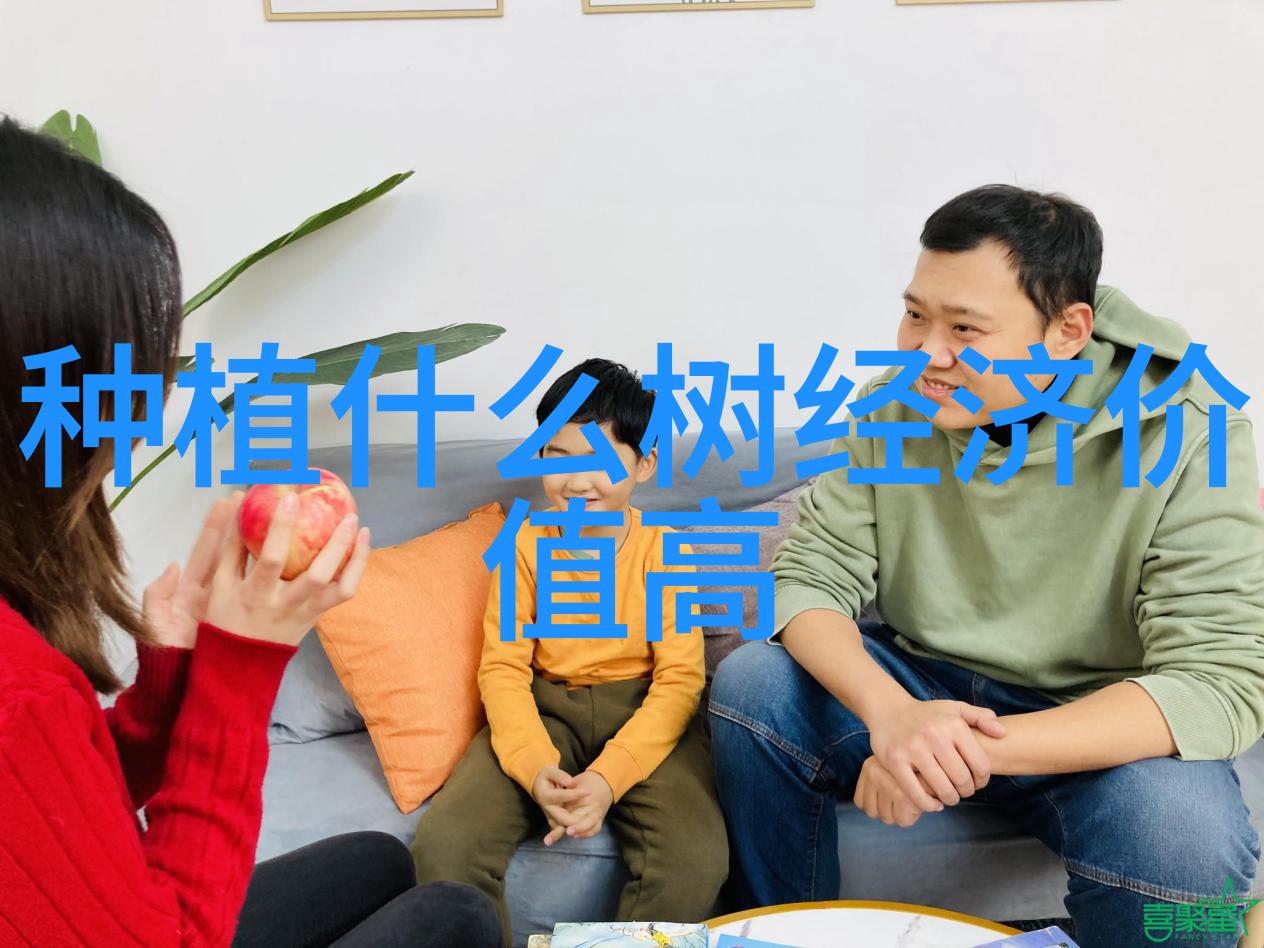 水培花生不发芽的原因