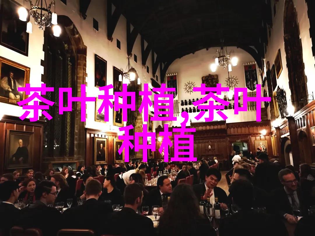 不同形状优质红茶机械清洁化加工工艺