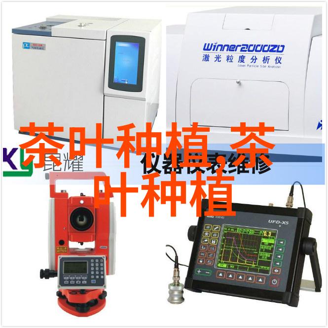 具有发展前景的绿化苗木有哪些树种