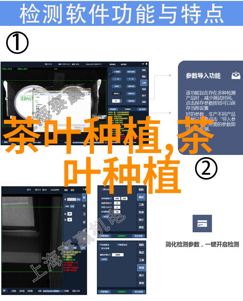 掌握花卉的高效栽培技术与科学养护管理措施