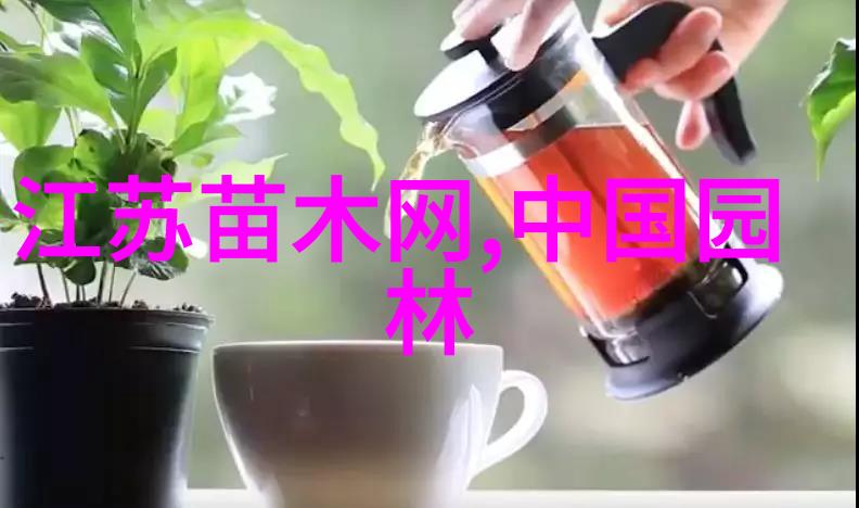 科学管理杨树林500多亩
