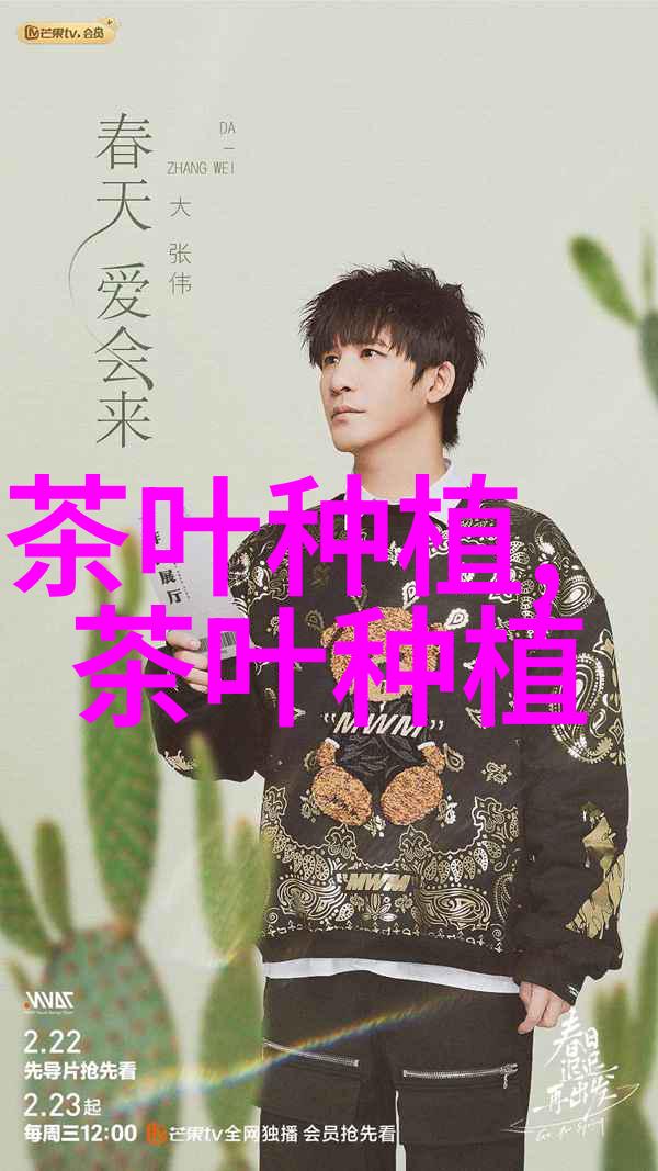 冬春茶园修剪技术