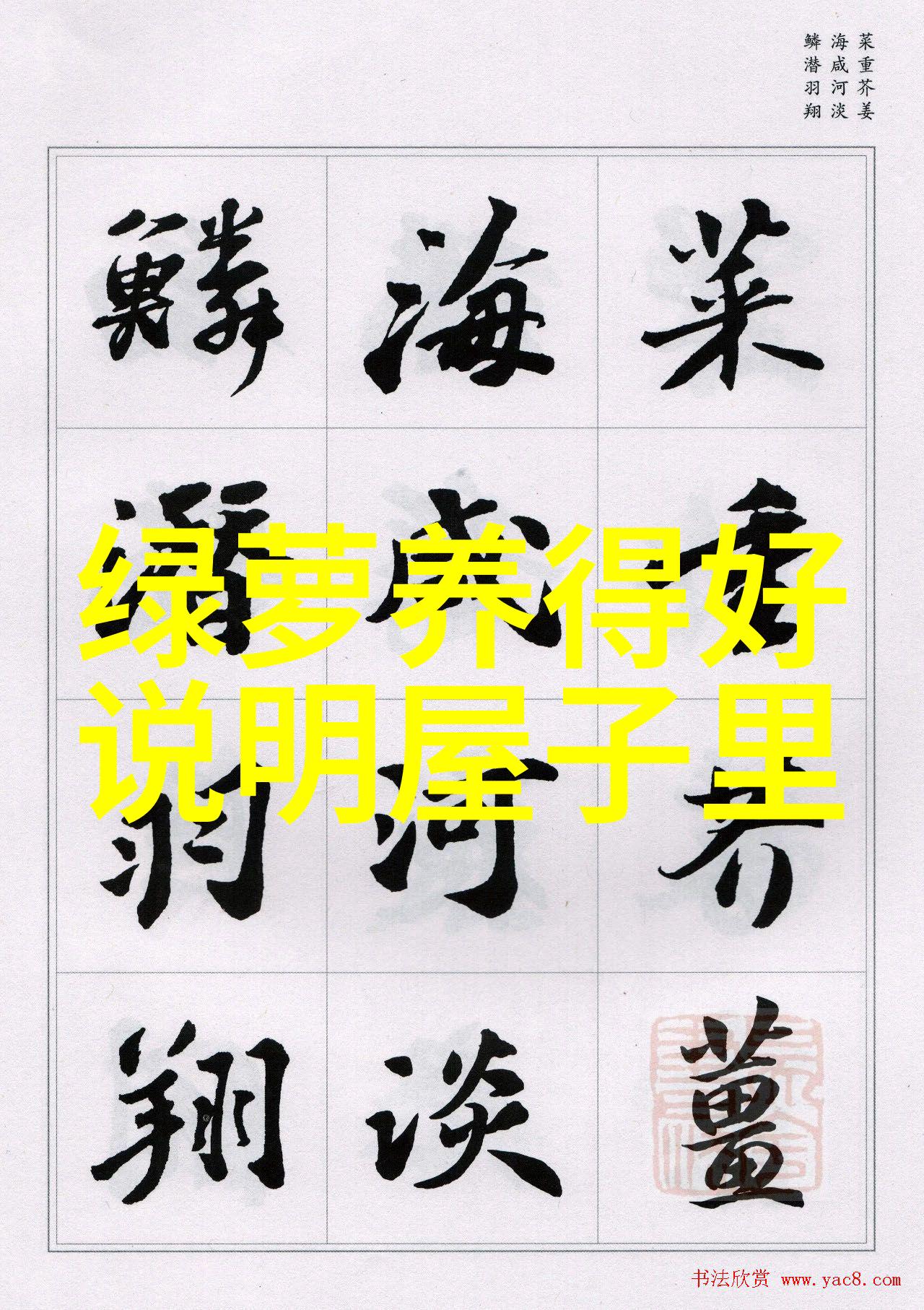 女生送自己什么花合适