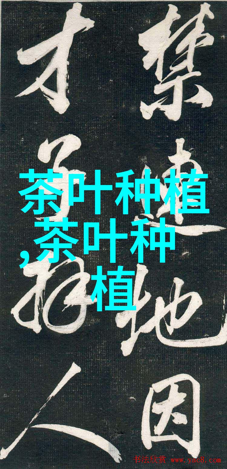 茶叶凹沟深栽法的应用技术措施