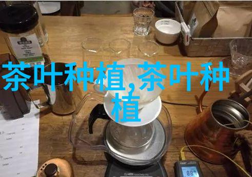 花卉苗木生产与开发开启丰收之路的秘诀