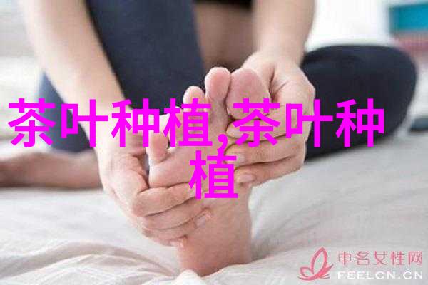 比较耐阴的室内花卉有那些